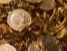 Unsearchable riches in Jesus Christ