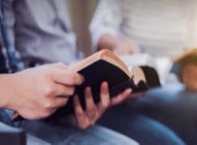Reading the Bible for wisdom.